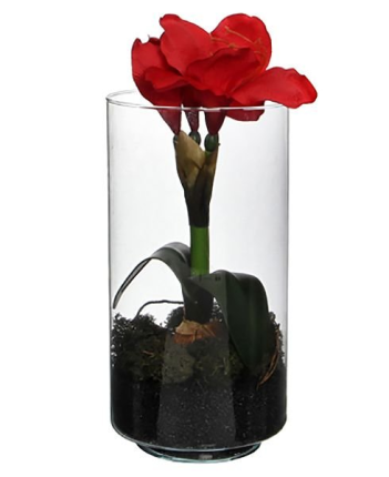 АМАРИЛЛИС в стеклянном стакане, красный, 30 см, Edelman