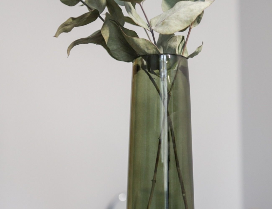 Стеклянная ваза для одного цветка КСАНДРА, дымчато-зелёная, 30 см