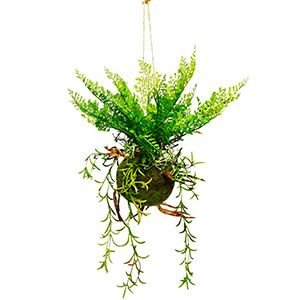 Искусственный папоротник ЛЕСНАЯ ВУДСИЯ в кокедаме, подвесной, пластик, натуральный мох, 48 см