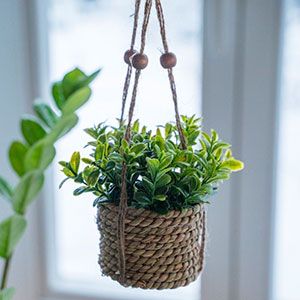 Искусственное растение COZY GREENS в подвесном джутовом кашпо, пластик, 8х12 см