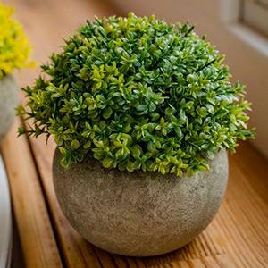 Искусственное растение в горшке BUSH BALL, пластик, хвойное зелёное, 12х13 см