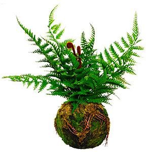 Искусственное растение подвесное ПАПОРОТНИК - ОРЛЯК, пластик, 35х28 см