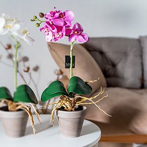 Искусственная ОРХИДЕЯ ФАЛЕНОПСИС в горшке, фиолетовая, 48 см