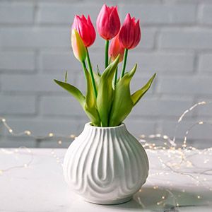 Декоративная ваза РИКОРДИ, фарфор, 12х11 см