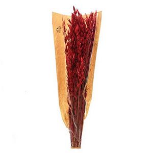 Букет из натуральных злаков КАНТРИ ШАРМ пшеница, красная, 25x10x50 см