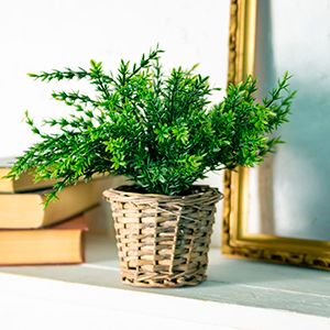 Искусственное растение в горшке ЭВКАЛИПТОВАЯ КОЛЛЕКЦИЯ - ВЕРЕС, 26 см