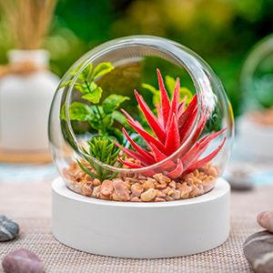 Флорариум-шар с искусственными растениями БОЛЛЕ, 13х12 см