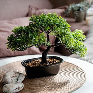 Искусственное растение БОНСАЙ РУТА, 33х26 см