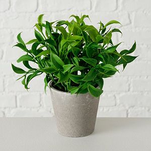 Искусственное растение в горшке ШТАЙН чайный кустик, пластик, 17 см