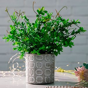 Искусственное растение в горшке УЗОРЫ МАЙЯ, пластик, бежевый, 29 см
