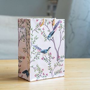 Подарочный пакет РАЙСКИЕ ПТИЦЫ, бумага, пудровый, 16х11 см