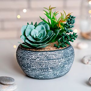 Искусственные растения в кашпо СУККУЛЕНТЫ – АССОРТИ, 17х13 см