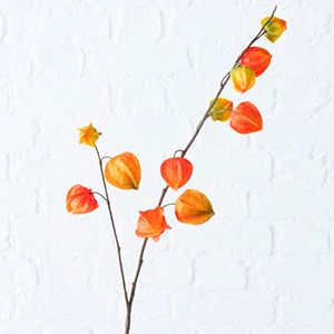 Искусственная ветка РЫЖИЙ ФИЗАЛИС, пластик, 90 см