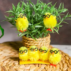Набор декоративных украшений СОЛНЕЧНЫЕ ЦЫПЛЯТА в очках, 5 см, 6 шт.