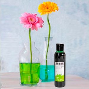 Краситель для воды ACQUA COLORATA, зеленый, 150 мл