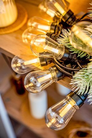 Светодиодная гирлянда из лампочек Party Lights – ЭДИСОН-ПАТИ, 20 тёплых белых LED-огней, 10 м, коннектор, чёрный провод, уличная, 