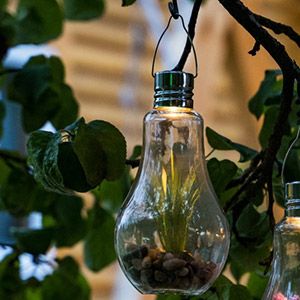 Садовый светильник на солнечной батарее ЧУДО КЛУМБА в лампочке, зелёный цветок, тёплый белый LED-огонь, 11x22 см
