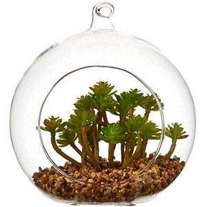 Искусственное растение СУККУЛЕНТ В ШАРЕ, 15х14 см