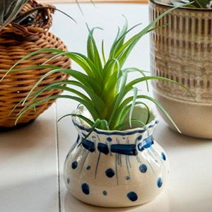 Декоративная ветка ТИЛЛАНДСИЯ, PVC, дымчато-зелёная, 19х18 см
