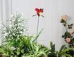 Выбрать фотографию для просмотра