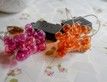Выбрать фотографию для просмотра