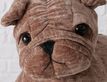Выбрать фотографию для просмотра