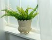 Выбрать фотографию для просмотра