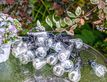 Выбрать фотографию для просмотра