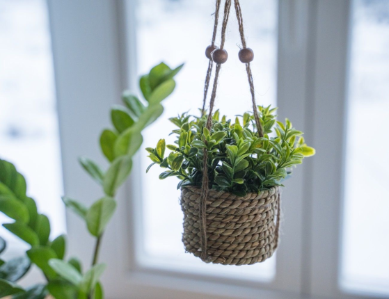 Искусственное растение COZY GREENS в подвесном джутовом кашпо, пластик, 8х12 см