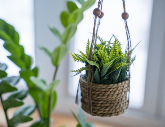Искусственное растение COZY GREENS в подвесном джутовом кашпо, пластик, 8х12 см