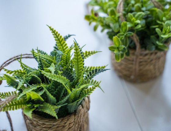 Искусственное растение COZY GREENS в подвесном джутовом кашпо, пластик, 8х12 см