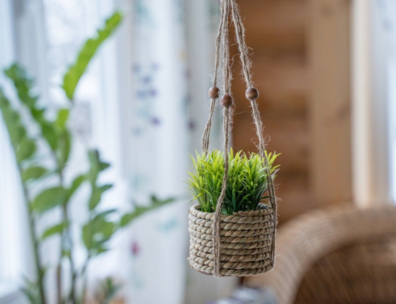 Искусственное растение COZY GREENS в подвесном джутовом кашпо, пластик, 8х12 см