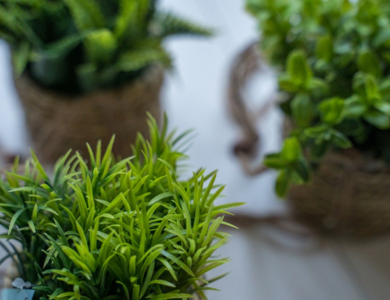Искусственное растение COZY GREENS в подвесном джутовом кашпо, пластик, 8х12 см