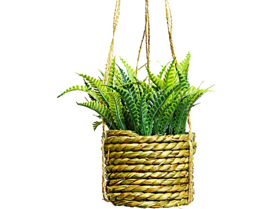 Искусственное растение COZY GREENS в подвесном джутовом кашпо, пластик, 8х12 см