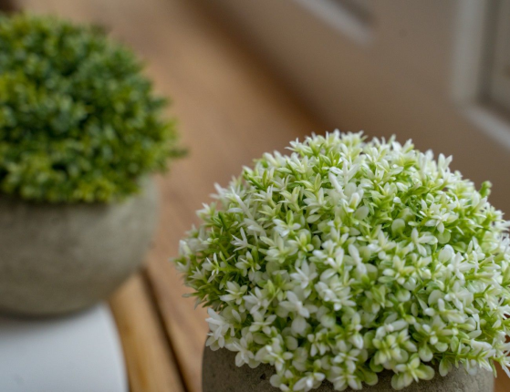 Искусственное растение в горшке BUSH BALL, пластик, зеленое с салатовым, 12х13 см