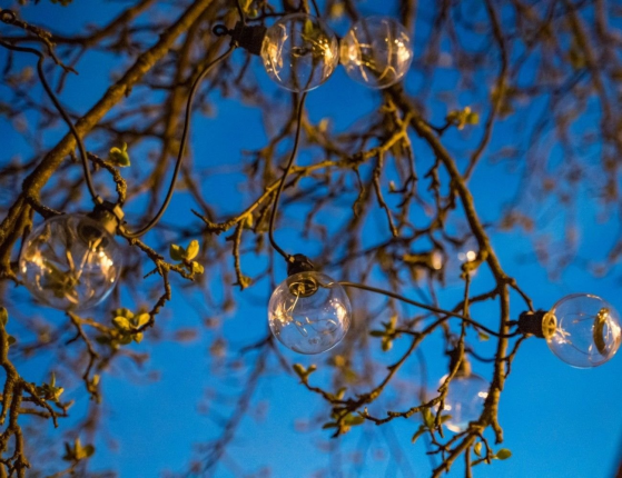 Гирлянда из лампочек BULBS BALLS, 10 тёплых белых LED-огней, 2.7+3 м, чёрный провод, уличная