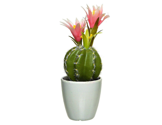       (  ), , 24 