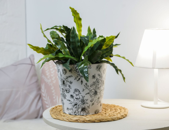 Металлическое кашпо-ведёрко SUMMER BOUQUETS, 16 см