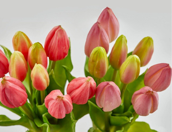 Искусственный букет ТЮЛЬПАНЫ "ВЕСЕННЕЕ СОЛНЦЕ", силикон, розовые, 29 см (букет – 9 шт.)