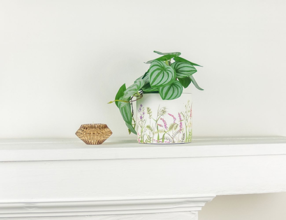 Кашпо ФЛОРА МАТТИНО: ЛУГ, фарфор, 12 см