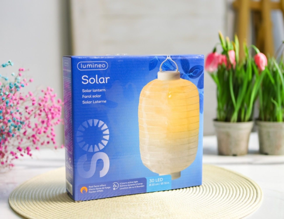 Светильник на солнечной батарее Solar ФОНАРИК ШЭНЬСИ, с эффектом живого пламени, 30х20 см