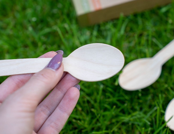 Набор одноразовых ложек БИРЧВУД, дерево, 17 см, 40 шт.