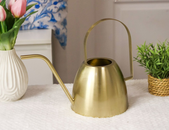 Лейка для комнатных растений АРРОЗУАР, металл, 31х23 см