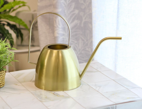 Лейка для комнатных растений АРРОЗУАР, металл, 31х23 см