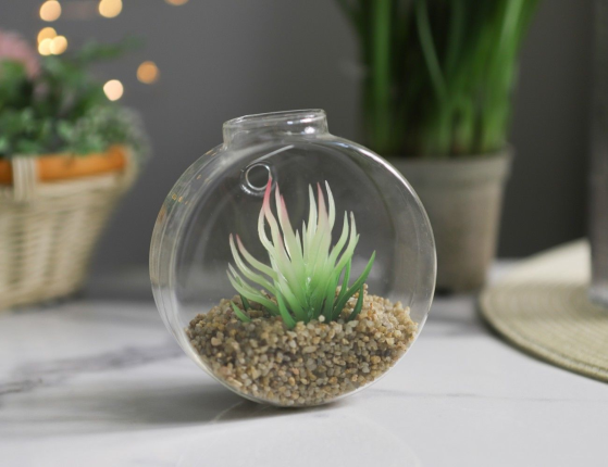 Настенный флорариум с искусственными растениями СУККУЛЕНТЫ: СОФФИЧЕ, 10 см