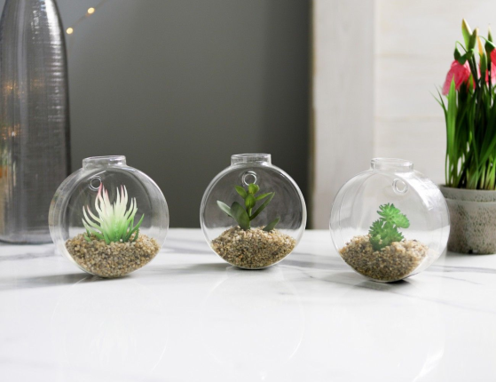Настенный флорариум с искусственными растениями СУККУЛЕНТЫ: СОФФИЧЕ, 10 см