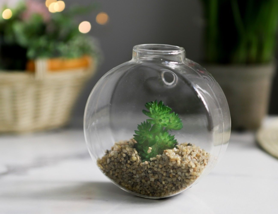 Настенный флорариум с искусственными растениями СУККУЛЕНТЫ: СПЕССО, 10 см