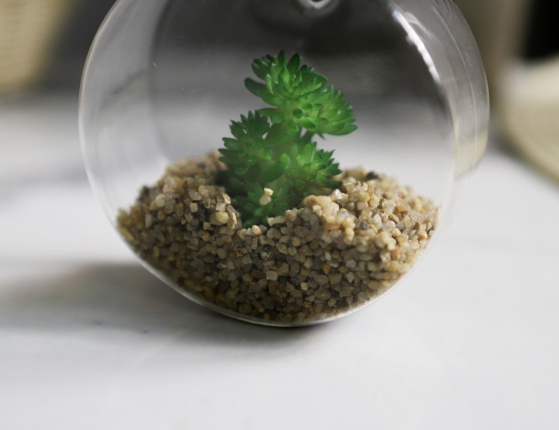 Настенный флорариум с искусственными растениями СУККУЛЕНТЫ: СПЕССО, 10 см