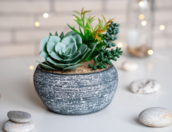 Искусственные растения в кашпо СУККУЛЕНТЫ – АССОРТИ, 17х13 см