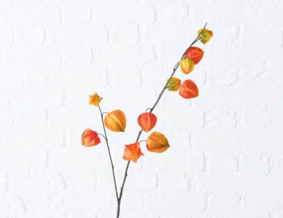 Искусственная ветка РЫЖИЙ ФИЗАЛИС, пластик, 90 см